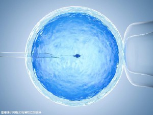 胚胎学家